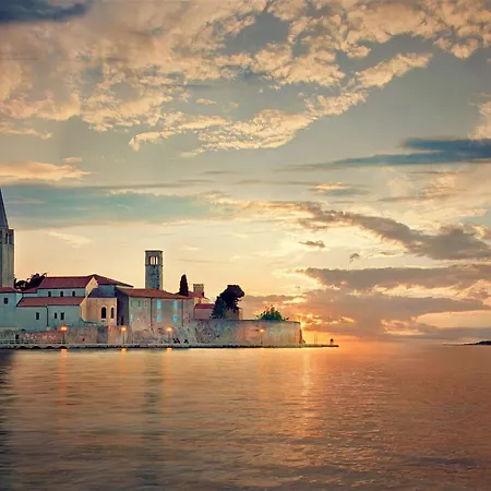 Vita Porec